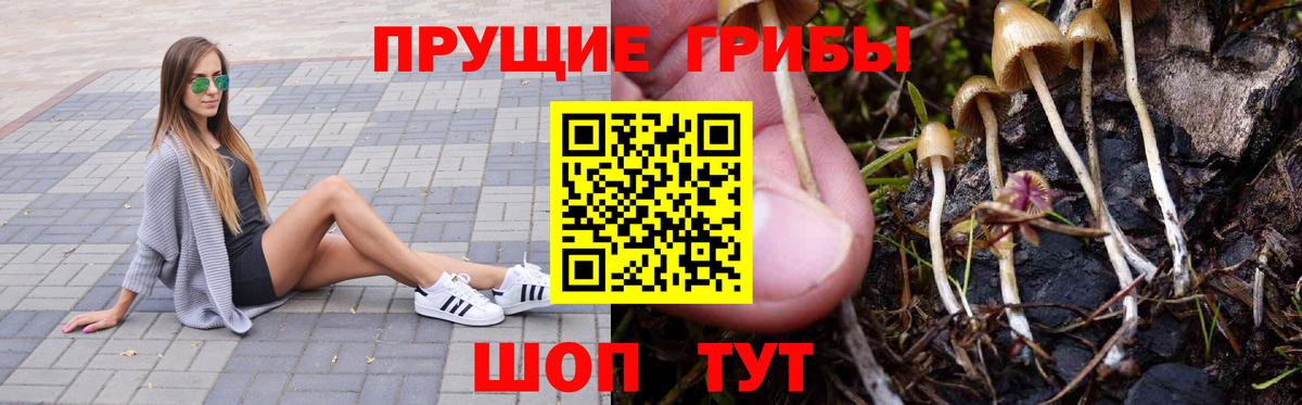 Галлюциногенные грибы прущие грибы  где можно купить   Ханты-Мансийск  Вход с VPN  Галлюциногенные грибы MAGIC MUSHROOMS 